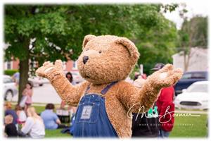 Teddy Bear Picnic_ Ted E Bear