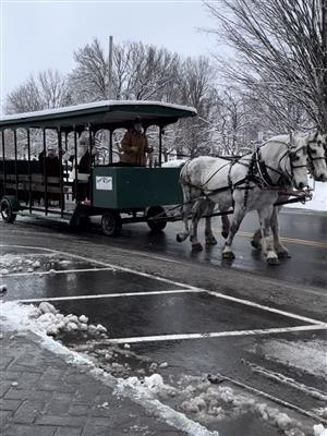 Pat Palmer & Trolley 